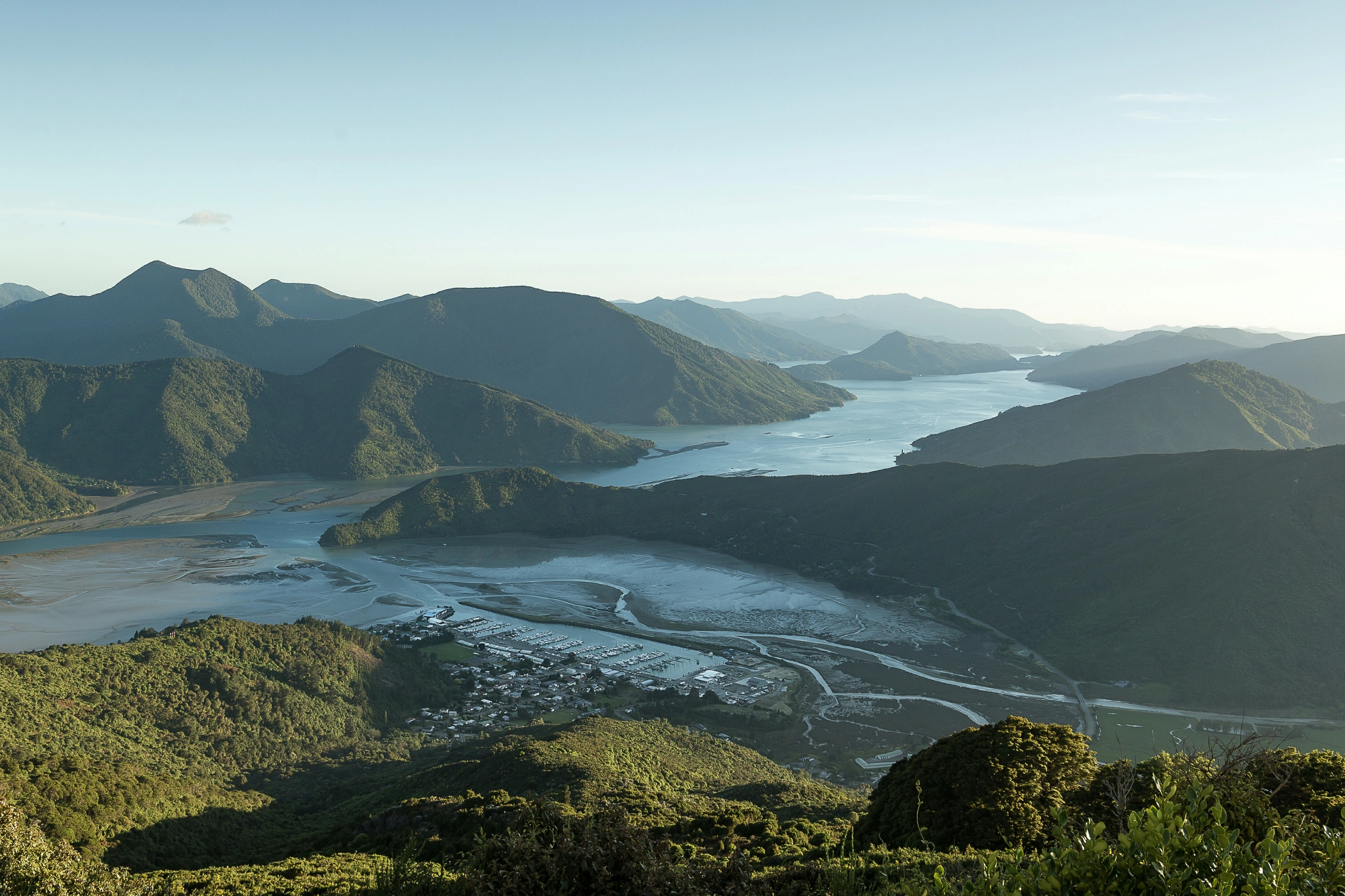 Pelorus_Sound[1].webp